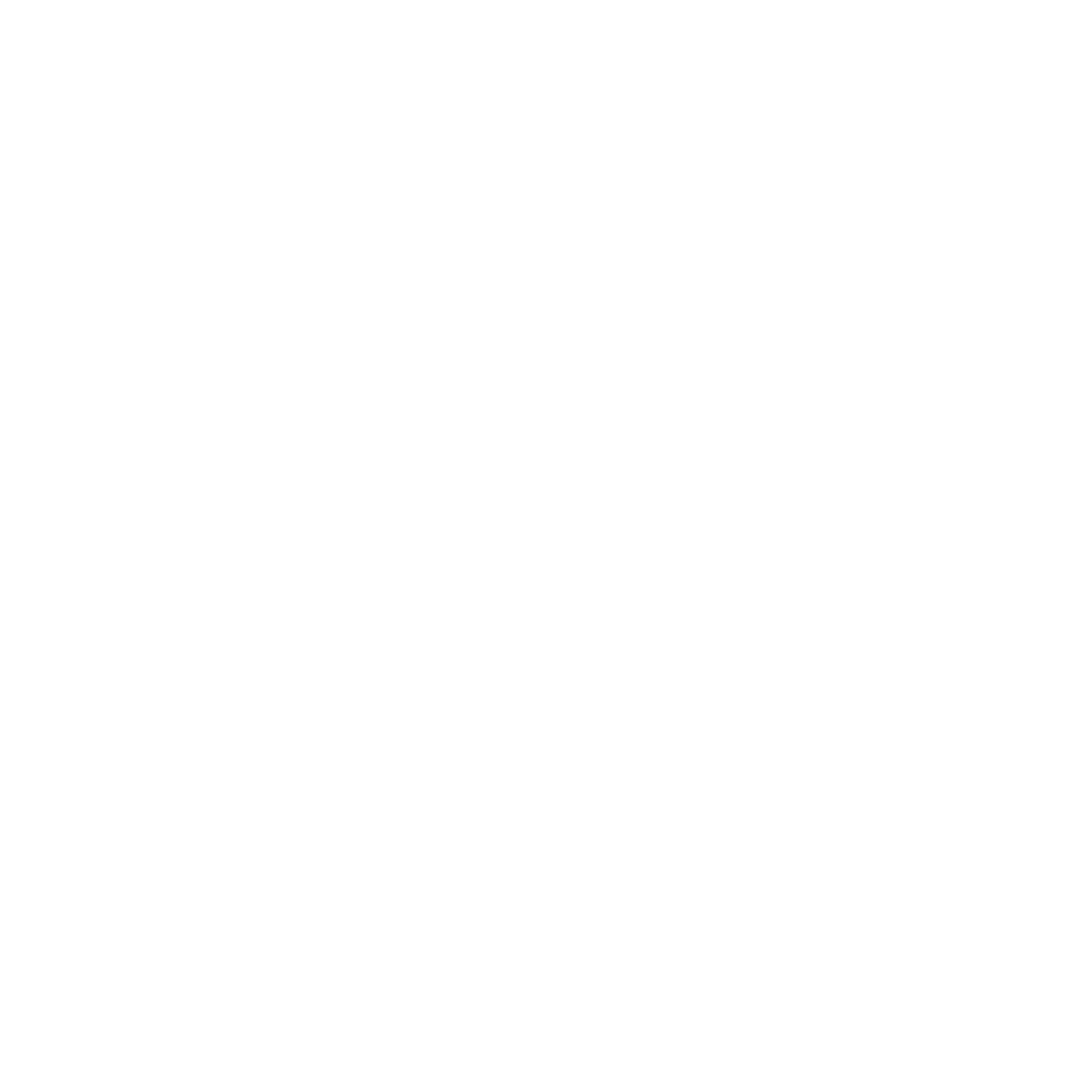 Swiss Online Garantie